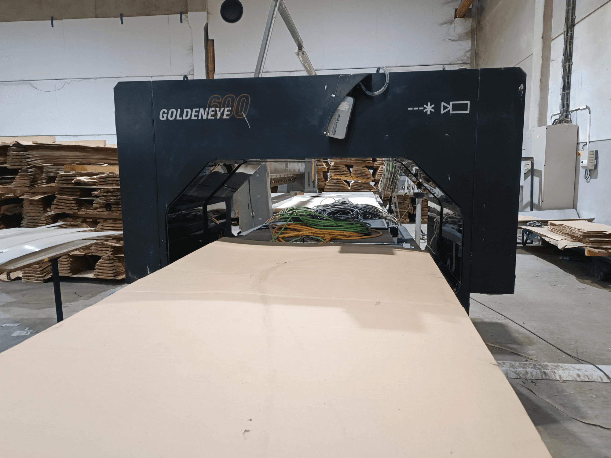 Machine à bois Microtec GOLDENEYE GLD 600 DSC vue de face, avec une grande surface de coupe et des équipements dans un atelier.